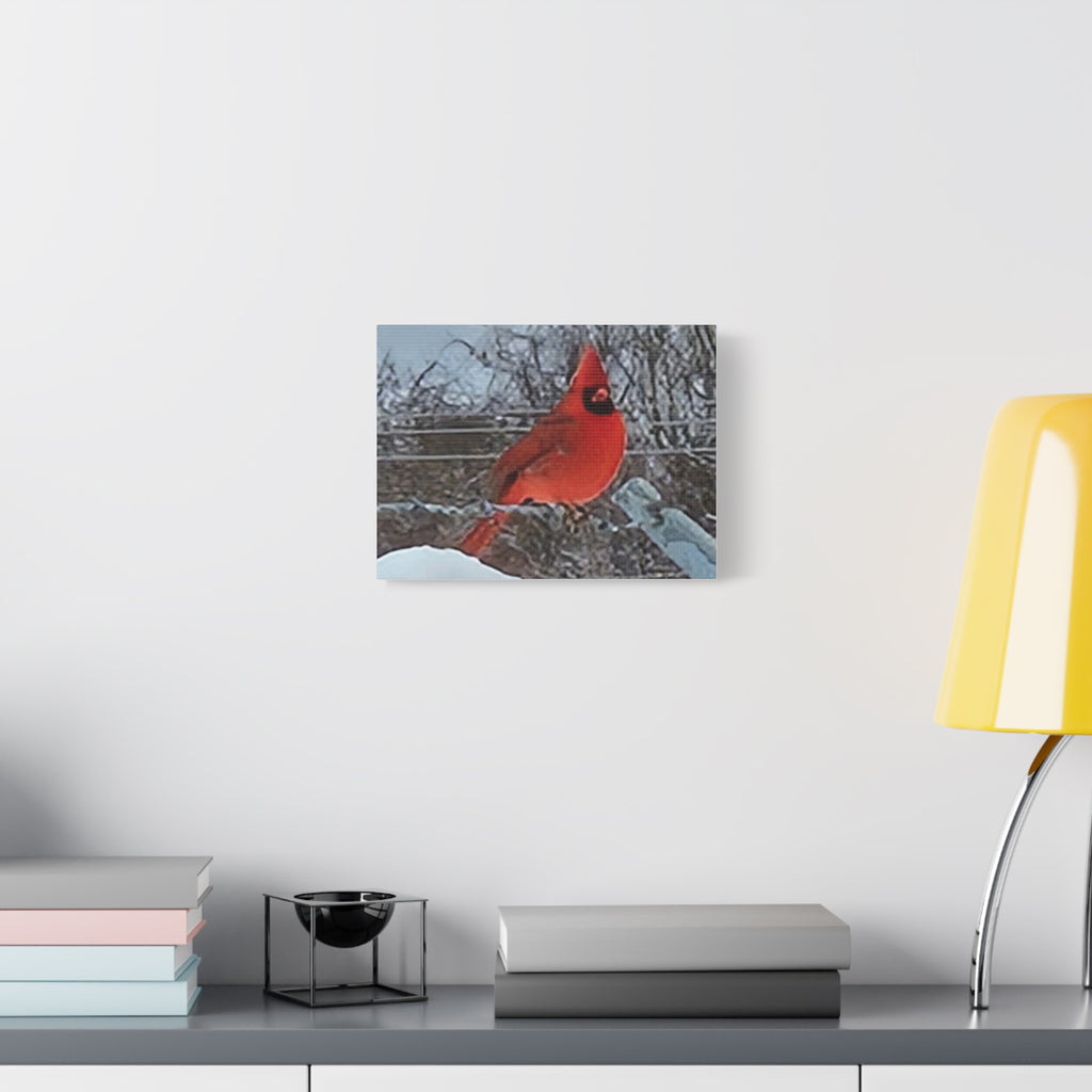 Cardinal Bird Matte Canvas Print — Vibrant Red Northern Cardinal Wall Art (Stretched 1.25")
