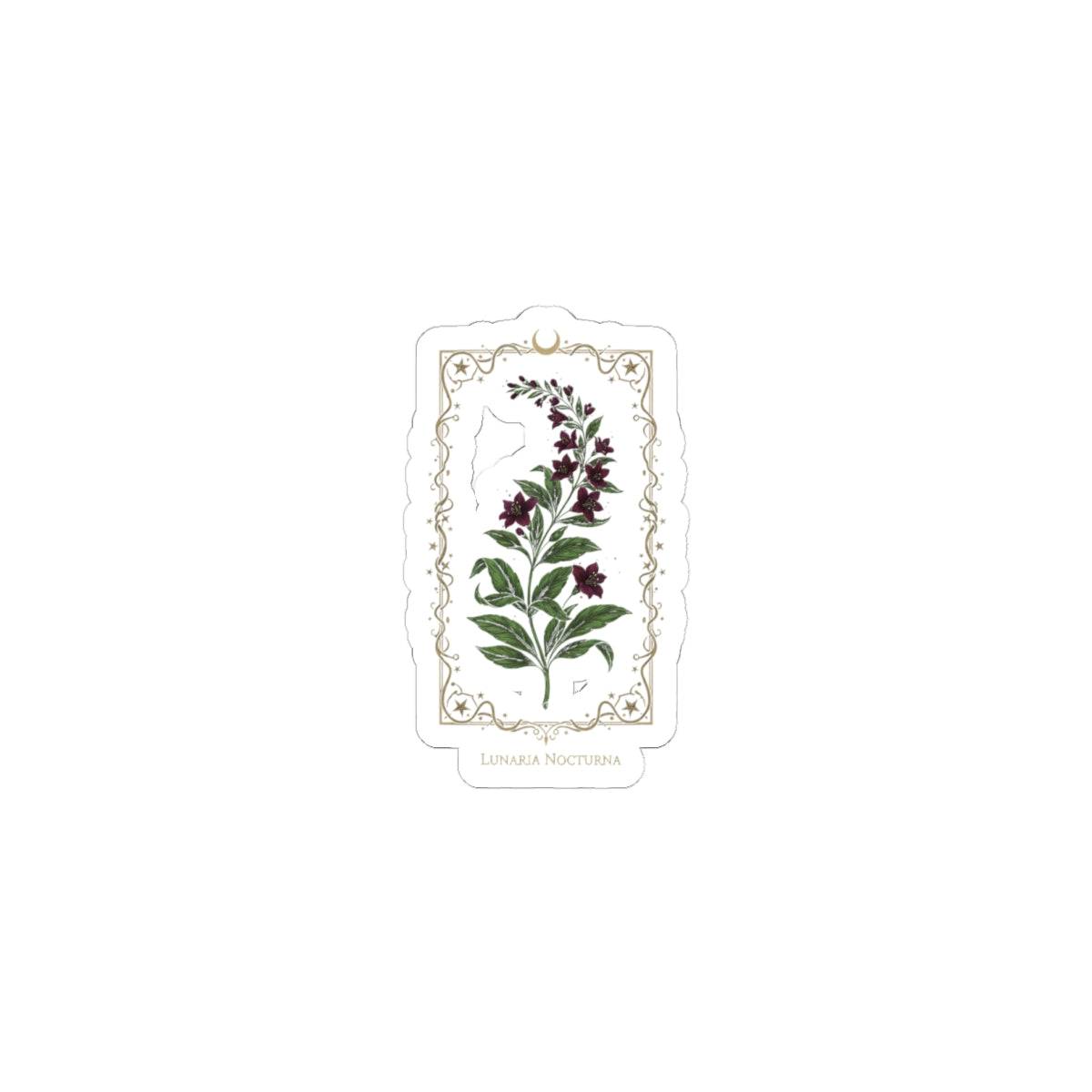 Nightshade Botanical Kiss-Cut Sticker | dark botanical, witchy garden