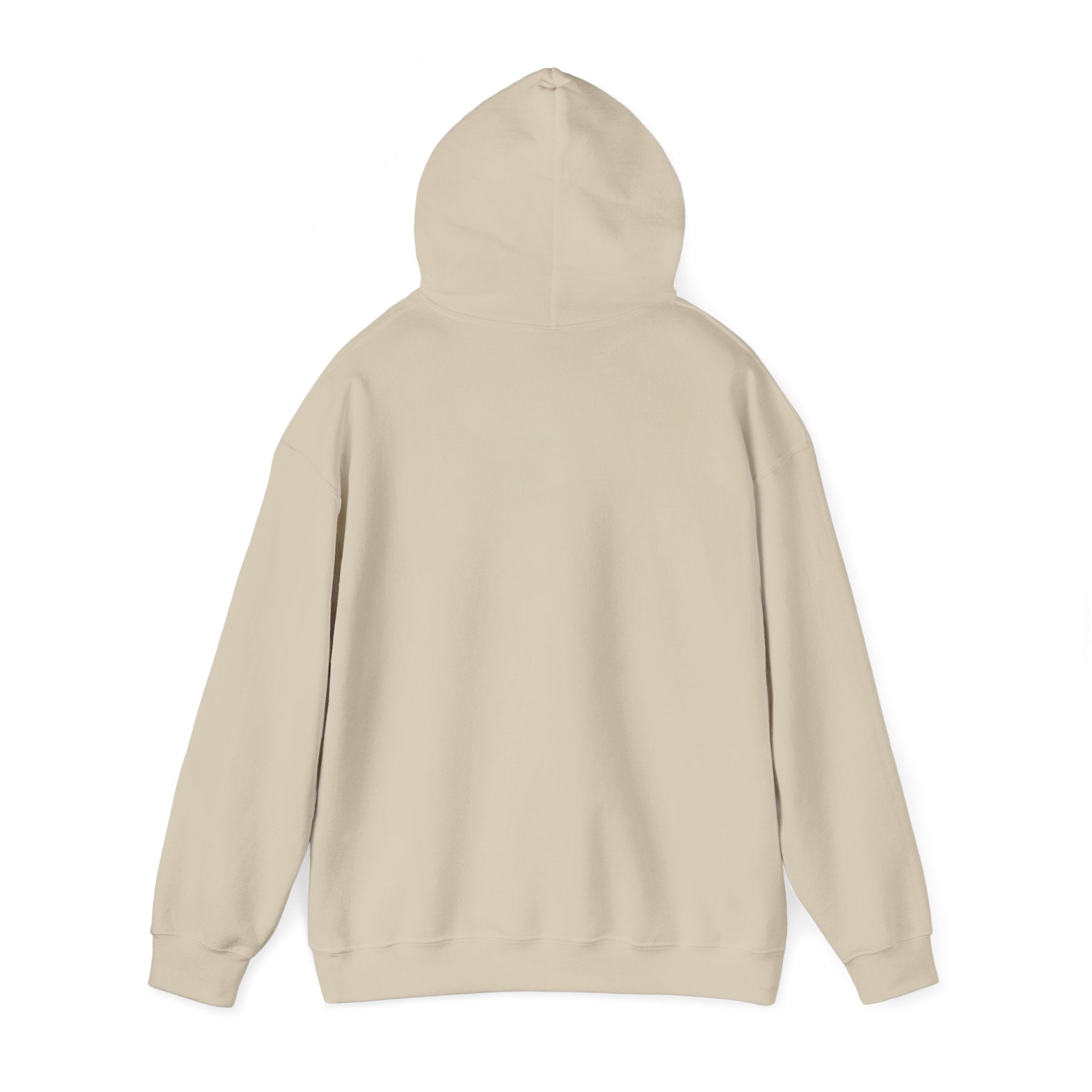Golden Hour Sunset Surf Hoodie | 70s Sunset, Vintage Palm Postcard