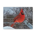 Cardinal Bird Matte Canvas Print — Vibrant Red Northern Cardinal Wall Art (Stretched 1.25")