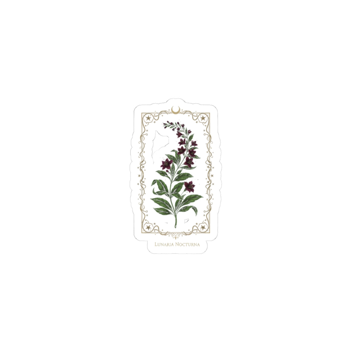 Nightshade Botanical Kiss-Cut Sticker | dark botanical, witchy garden