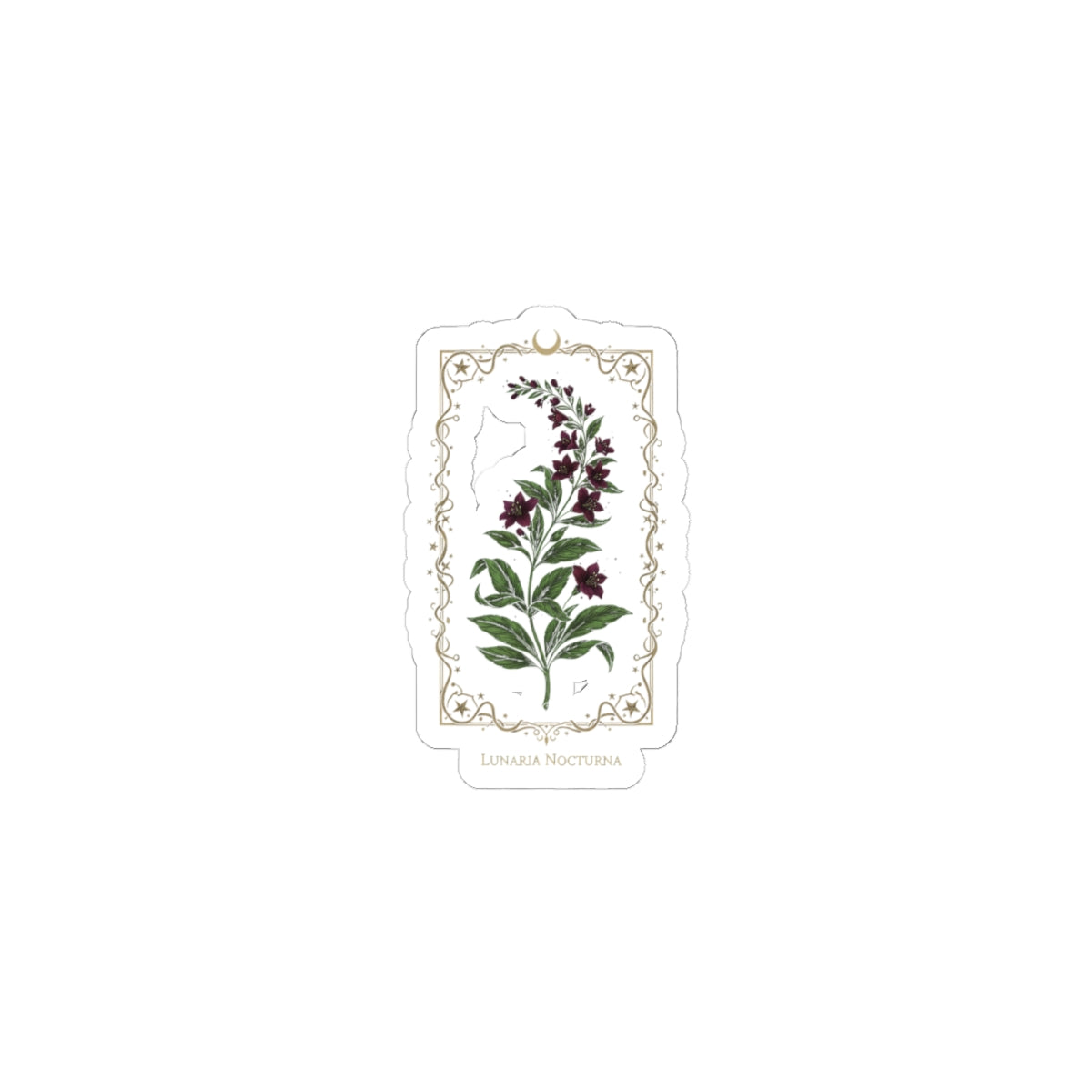 Nightshade Botanical Kiss-Cut Sticker | dark botanical, witchy garden