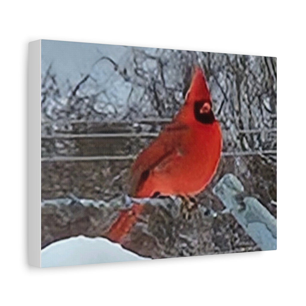 Cardinal Bird Matte Canvas Print — Vibrant Red Northern Cardinal Wall Art (Stretched 1.25")