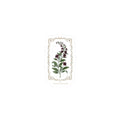 Nightshade Botanical Kiss-Cut Sticker | dark botanical, witchy garden