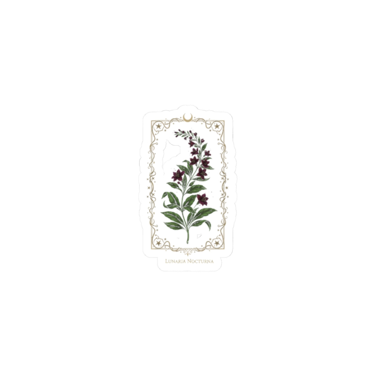 Nightshade Botanical Kiss-Cut Sticker | dark botanical, witchy garden
